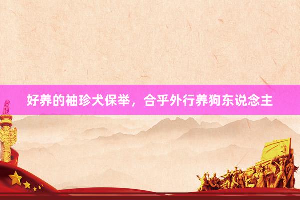 好养的袖珍犬保举，合乎外行养狗东说念主