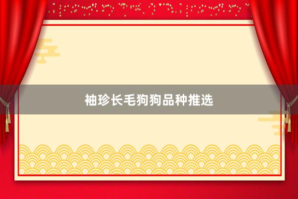 袖珍长毛狗狗品种推选